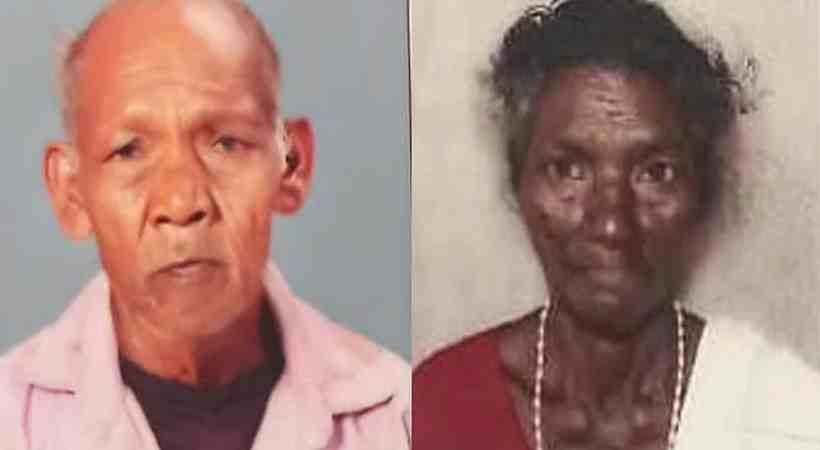 aaralam-elephant attack