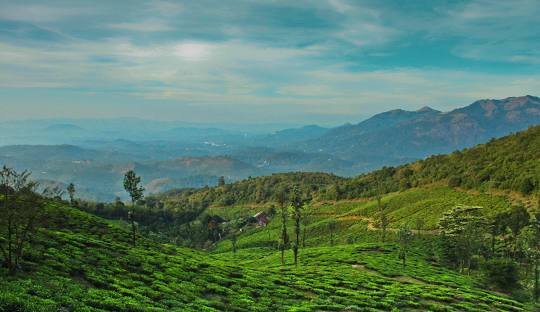 wayanad