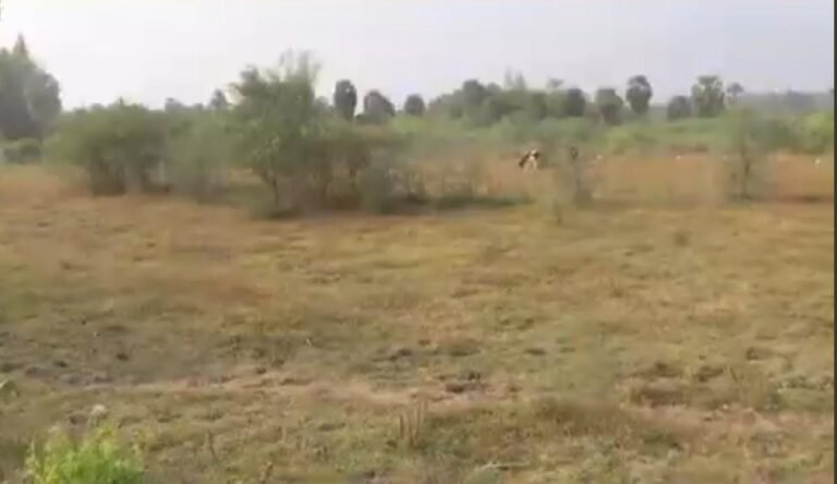 Site-for-the-proposed-brewery-plant.-Supplied-768x444