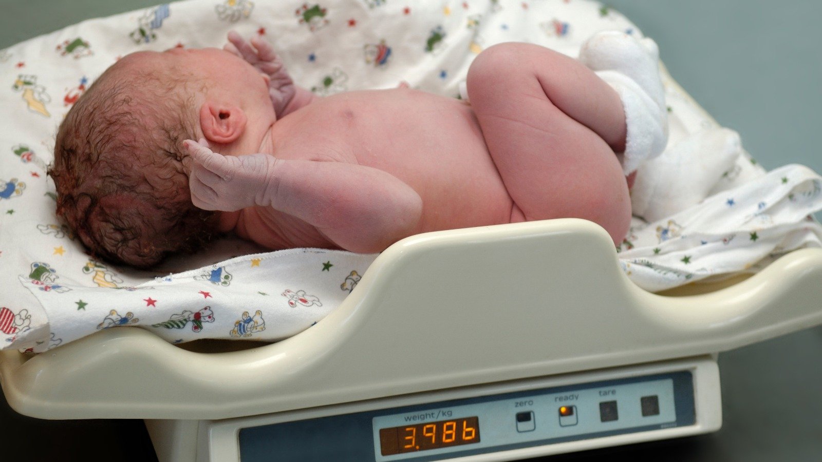 WhatsApp Image 2025-03-07 at 11.04.27 AM