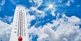 images (1)