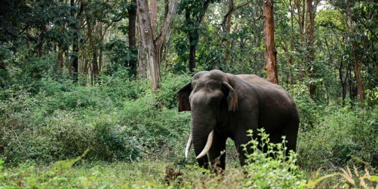 2023-06-02-3-e1712039903741