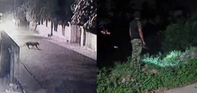 UqTz4XceGHWsL61gBJvRll6CM7aG8jjCOG0XBqmp