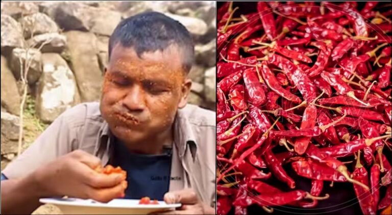 72e0de63-c8a0-4a30-9c1f-462dc5a0bd34