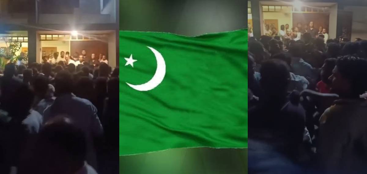 NdR15CYmu11sTUNUWUlxty8gzOBrJOpWlzfptJeI